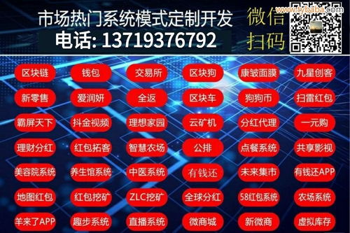 歡樂(lè)拼購(gòu)App系統(tǒng)開(kāi)發(fā)與金屬制品網(wǎng)網(wǎng)絡(luò)運(yùn)營(yíng) 數(shù)字化時(shí)代的雙軌戰(zhàn)略